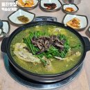 온천삼계탕 | 울진 덕구온천 현지인맛집 백송삼계탕 재방문후기