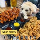 송정가마솥깨통닭 | [광주 주월동 맛집] 송정가마솥깨통닭 양념치킨 x 후라이드치킨 광주맛집 가성비 맛집 치킨 맛집 주월동...