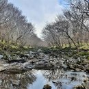 용바위농장 이미지