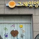 멍데이(meongday) | [천안 /두정동 애견 수제간식] 그레잇멍데잇 원데이클래스 후기 ღღ