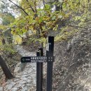 비봉여자 이미지