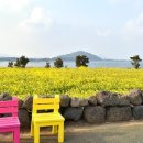 걸매생태공원 이미지