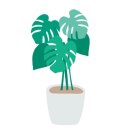 슈드해브커피 이미지