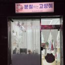 3738 | 건대퍼스널컬러 분칠하는 고양이에서 첫 퍼컬진단 받은 후기