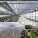 유인농장 이미지