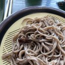 오사카 인기 온천 식당 소바에서 '바퀴벌레' 나왔다 이미지