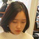 초이스미용실 네이버블로그