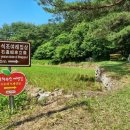 양성 석조여래입상 | 거창 농산리 석조여래입상