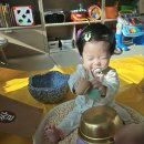 파파홈 | [육아정보] 아기 홈문센 방문수업 파파덕 오감놀이 수업 가격 및 후기 내돈내산