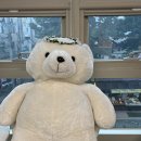 코힛코컴퍼니 | [서울 유튜브 배우는곳] 코힛코컴퍼니에서 완전 맞춤형으로 배웠어요!!