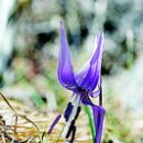 신거제주유소 이미지