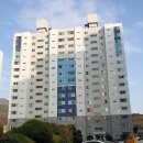 하단동1161 이미지