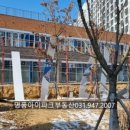 파주금강부동산공인중개사사무소 이미지