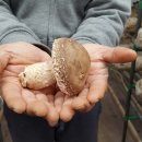 해수농장 이미지