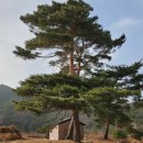 노경1리마을회관 이미지