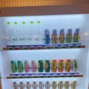 세븐1모텔 이미지