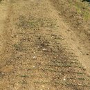 천왕농장 이미지