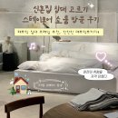 모어스테이 | 스테이모어 쇼룸 방문 후기｜룬드 침대 프레임·매트리스 상담·계약 과정｜신혼집 침대 고르기