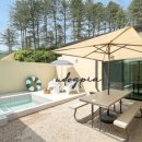 udogpia 유독피아 이미지