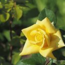 송도 해돋이공원 이미지