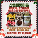 산음휴양림 달빛마을 이미지