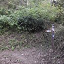 한치도로변 이미지