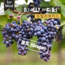 줄렙전자담배