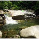 회귀-모정 이미지