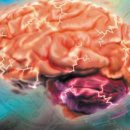 불로초등학교 체육관 이미지