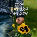 🌯3월16일 월요일 출석부🌯 이미지