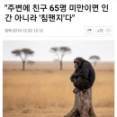 호오와아아 우끼 우끼끼 이미지
