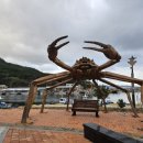 대진항 대게공원 이미지