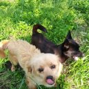 선아 농장 이미지