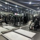 피트니스382 이미지