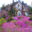 제810차 강진 덕룡,주작산 진달래 정기산행 신청(4/7첫째일요일) 이미지