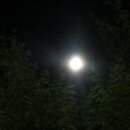 무지개슈퍼 이미지