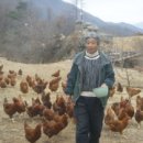 최명식농장 이미지