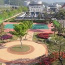 금호강영천 이미지