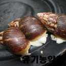 아까금농장 네이버블로그