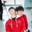 도란