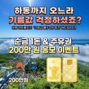 하동군농특산물판매및홍보관 | 경남 가볼만한곳 하동 케이블카 화개장터 벚꽃축제 여행 코스