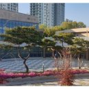 가람마을2,8단지 앞-2 이미지