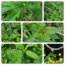 황제사우나 이미지