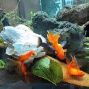 토탈미술피아노학원 이미지