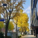 해인태권도 | 영화 <세계의 주인> 관람 후기