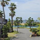 호텔스카브로 이미지