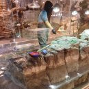 (주)청나 | 가평 아기랑 갈만한곳 실내 신비동물원 + 아쿠아가든 내돈내산 후기