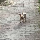 예송동물병원 이미지