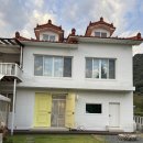 해피애견 | 밀양 애견동반 독채펜션 | 해피도그데이 내돈내산 후기 🏠🐾