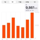씨유 대전지족드림점 | 2025 일상